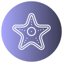 estrella de mar 