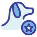 estrella icon