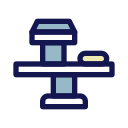 exploración dexa icon