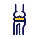 artroplastia icon