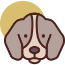 Reino animal icon