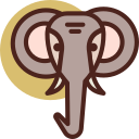 Reino animal icon