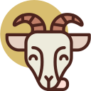 Reino animal icon