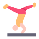 gimnasta icon