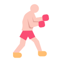 boxeo icon