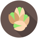 pistacho icon