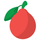 fruta icon