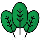 espinaca icon