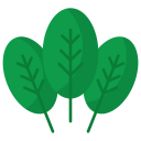 espinaca icon