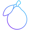 fruta icon