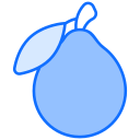 fruta icon