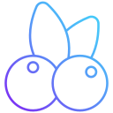 cranberries icon