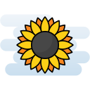 해바라기 