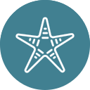 estrella de mar icon