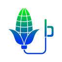 Bio fuel 