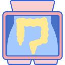 Cáncer de colon icon