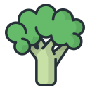 brócoli icon