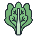 lechuga icon