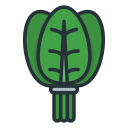 espinaca icon