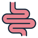 intestino icon