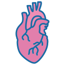 corazón icon