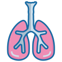 pulmones icon