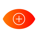 ojo icon