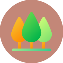 Tree icon