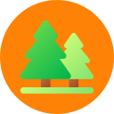 Tree icon