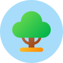 Tree icon