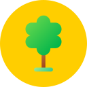 Tree icon