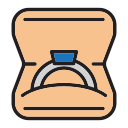 anillo icon