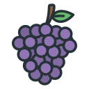 uvas icon