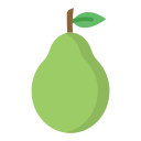 guayaba icon