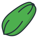 papaya icon