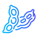 Soy 