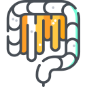 Intestino icon