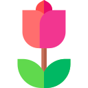 Tulipán icon