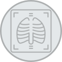X ray 