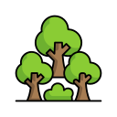 bosque icon