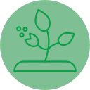 plantas icon