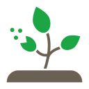 plantas icon