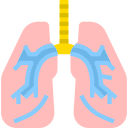 Pulmones icon