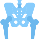 Pelvis icon