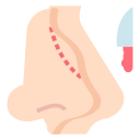 rinoplastia icon