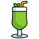 jugo de menta icon