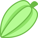 carambola icon