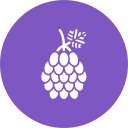 uvas icon