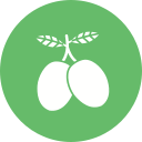 aceituna icon