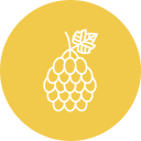 uvas icon